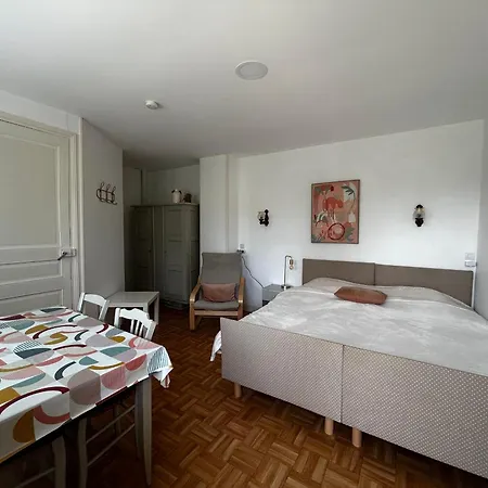 Apartment Avec Balcon, Jardin Commun, Wifi, Pres Des Thermes - Fr-1-541-192