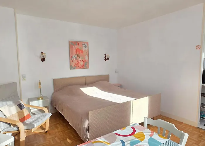 Avec Balcon, Jardin Commun, Wifi, Pres Des Thermes - Fr-1-541-192 拉罗什波赛