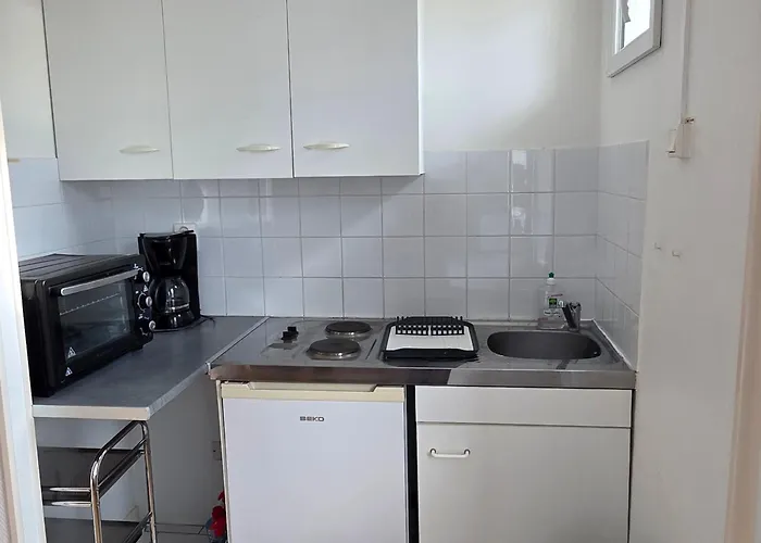 Avec Balcon, Jardin Commun, Wifi, Pres Des Thermes - Fr-1-541-192 拉罗什波赛