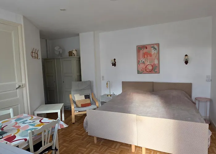 Avec Balcon, Jardin Commun, Wifi, Pres Des Thermes - Fr-1-541-192 *